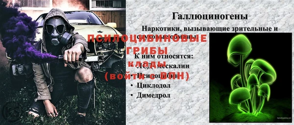 ПСИЛОЦИБИНОВЫЕ ГРИБЫ Арсеньев