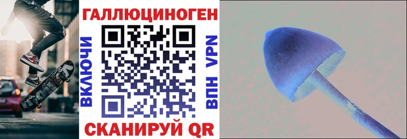Галлюциногенные грибы Psilocybe  Высоковск 