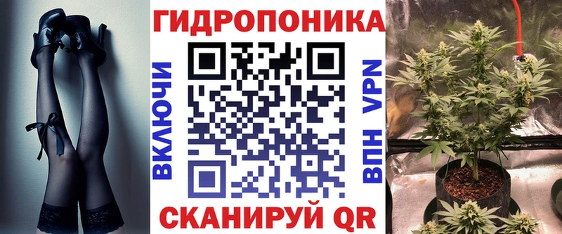 Канабис SATIVA & INDICA Высоковск
